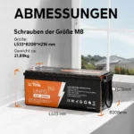 litime-12v-200ah-plus_5